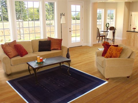 Gabbeh Brown Hand Knotted 50 X 70 Area Rug 250-16883 Image 5