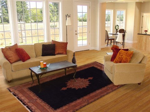 Kerman Blue Hand Knotted 70 X 100 Area Rug 400-16900 Image 2