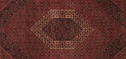 Bidjar Red Hand Knotted 50 X 84 Area Rug 400-16903 Image 8