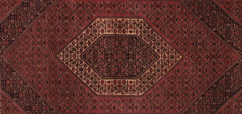 Bidjar Red Hand Knotted 50 X 84 Area Rug 400-16903 Image 10