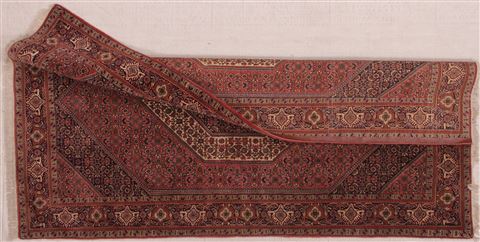 Bidjar Red Hand Knotted 50 X 84 Area Rug 400-16903 Image 11