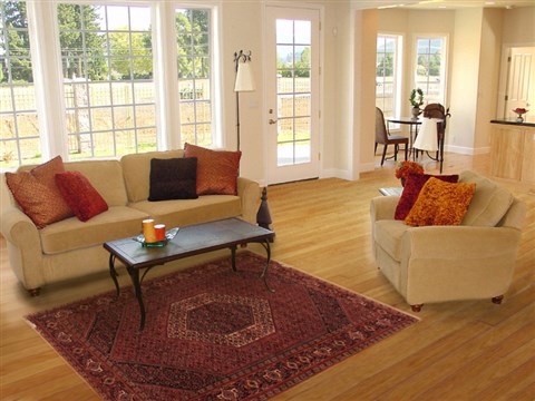 Bidjar Red Hand Knotted 50 X 84 Area Rug 400-16903 Image 2