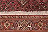 Bidjar Red Hand Knotted 50 X 84 Area Rug 400-16903 Thumb 16