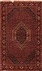 Bidjar Red Hand Knotted 50 X 84 Area Rug 400-16903 Thumb 0