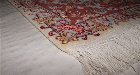 Tabriz Beige Hand Knotted 50 X 69 Area Rug 400-16908 Image 12