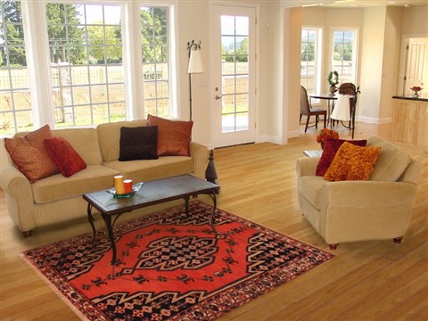 Mazlaghan Red Hand Knotted 43 X 63 Area Rug 400-16912 Image 2
