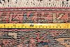 Hamedan Red Hand Knotted 42 X 68 Area Rug 400-16915 Thumb 9