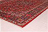 Kashan Red Hand Knotted 46 X 69  Area Rug 400-16921 Thumb 8