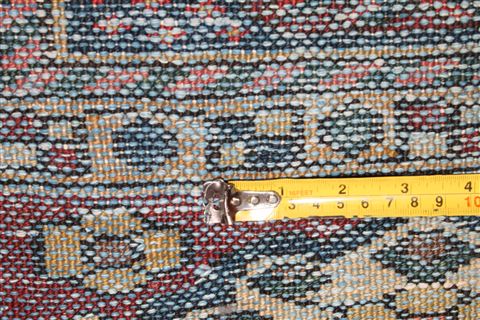 Bakhtiar Red Hand Knotted 49 X 72 Area Rug 400-16928 Image 22