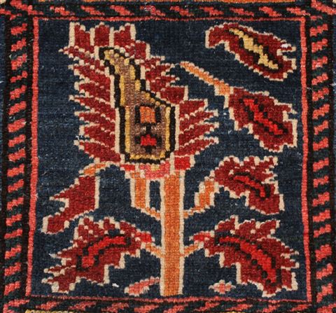 Bakhtiar Red Hand Knotted 49 X 72 Area Rug 400-16928 Image 12