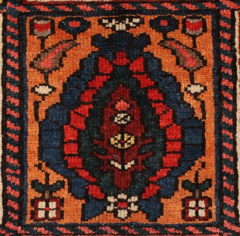 Bakhtiar Red Hand Knotted 49 X 72 Area Rug 400-16928 Image 15