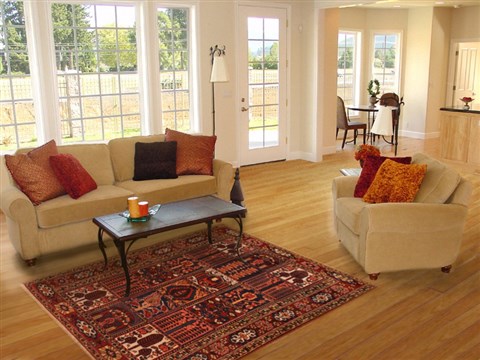 Bakhtiar Red Hand Knotted 49 X 72 Area Rug 400-16928 Image 2