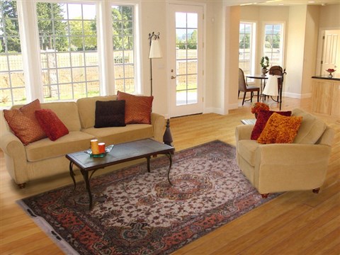 Tabriz White Hand Knotted 70 X 100 Area Rug 400-16951 Image 4