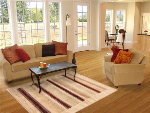 Gabbeh Beige Hand Knotted 44 X 62 Area Rug 250-17024 Image 5