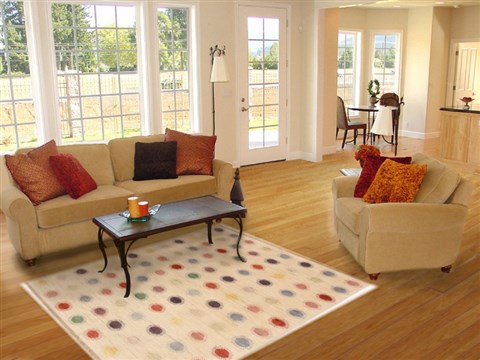 Gabbeh Beige Hand Knotted 40 X 63 Area Rug 250-17031 Image 5