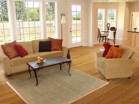 Gabbeh Green Hand Knotted 41 X 61 Area Rug 250-17033 Image 5