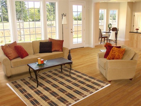 Gabbeh Multicolor Hand Knotted 40 X 63 Area Rug 250-17035 Image 5