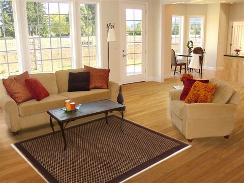 Gabbeh Brown Hand Knotted 40 X 62 Area Rug 250-17036 Image 5