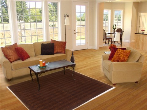 Gabbeh Brown Hand Knotted 40 X 63 Area Rug 250-17037 Image 5