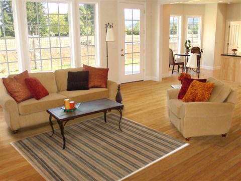 Gabbeh Multicolor Hand Knotted 42 X 63 Area Rug 250-17040 Image 5