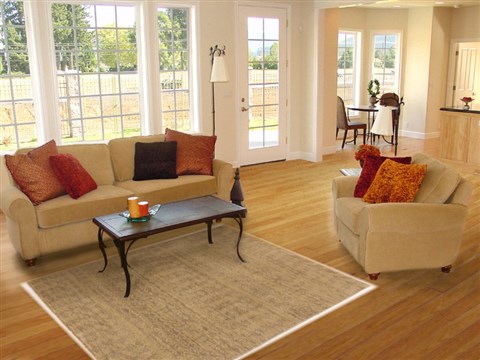 Gabbeh Green Hand Knotted 40 X 60 Area Rug 250-17068 Image 5