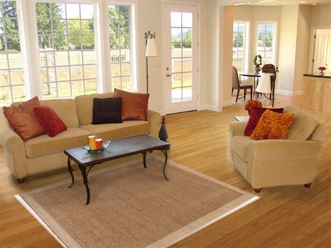 Gabbeh Brown Hand Knotted 40 X 65 Area Rug 250-17069 Image 5