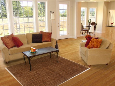 Gabbeh Brown Hand Knotted 40 X 62 Area Rug 250-17070 Image 5