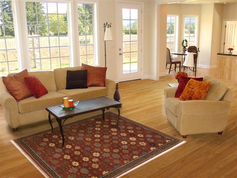 Gabbeh Brown Hand Knotted 40 X 510 Area Rug 250-17074 Image 5