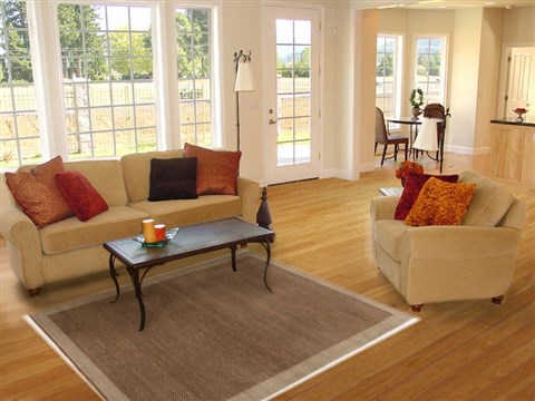 Gabbeh Brown Hand Knotted 40 X 63 Area Rug 250-17075 Image 5