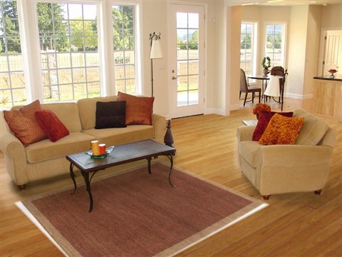 Gabbeh Brown Hand Knotted 40 X 63 Area Rug 250-17077 Image 5