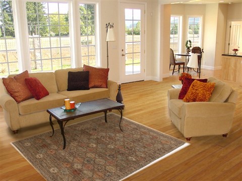 Gabbeh Multicolor Hand Knotted 40 X 60 Area Rug 250-17078 Image 5