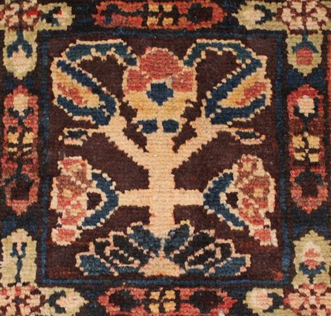 Bakhtiar Brown Hand Knotted 105 X 131 Area Rug 400-17170 Image 19