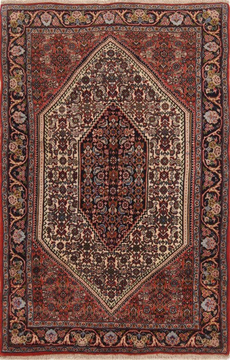 Bidjar Multicolor Hand Knotted 36 X 55  Area Rug 251-17175 Image 0
