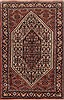 Bidjar Multicolor Hand Knotted 36 X 55  Area Rug 251-17175 Thumb 0