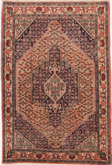 Bidjar Multicolor Hand Knotted 32 X 45  Area Rug 250-17183 Image 0