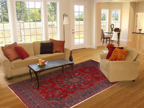Mashad Red Hand Knotted 80 X 1011 Area Rug 251-17198 Image 4