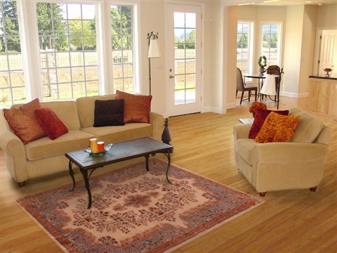 Kerman White Hand Knotted 41 X 63 Area Rug 400-17203 Image 5