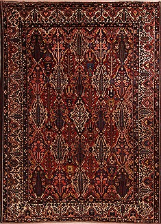 Bakhtiar Red Hand Knotted 9'8" X 12'5"  Area Rug 400-17224