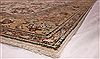 Tabriz Beige Hand Knotted 97 X 1211  Area Rug 400-17244 Thumb 8
