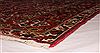 Bakhtiar Red Hand Knotted 104 X 132  Area Rug 400-17246 Thumb 36