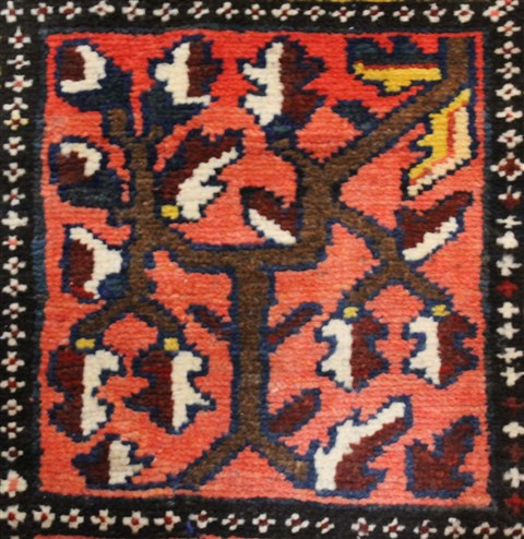 Bakhtiar Red Hand Knotted 107 X 144 Area Rug 400-17258 Image 9