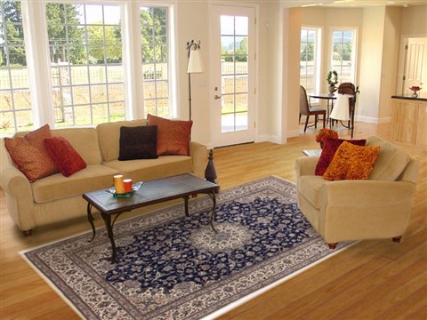 Nain Blue Hand Knotted 71 X 104 Area Rug 251-17304 Image 4