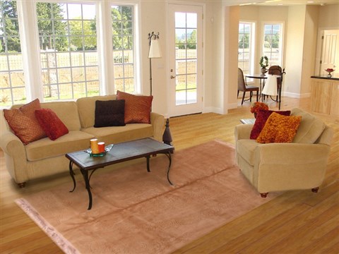 Indo-Nepal Beige Hand Knotted 80 X 110 Area Rug 400-17323 Image 4