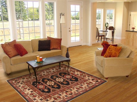 Kazak Black Hand Knotted 42 X 61 Area Rug 250-17377 Image 5