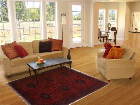 Khan Mohammadi Red Hand Knotted 311 X 64 Area Rug 250-17385 Image 5