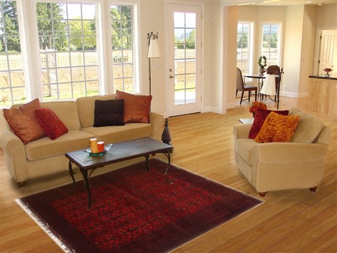 Turkman Red Hand Knotted 39 X 511 Area Rug 250-17396 Image 5