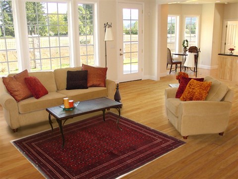 Khan Mohammadi Red Hand Knotted 310 X 511 Area Rug 250-17397 Image 5