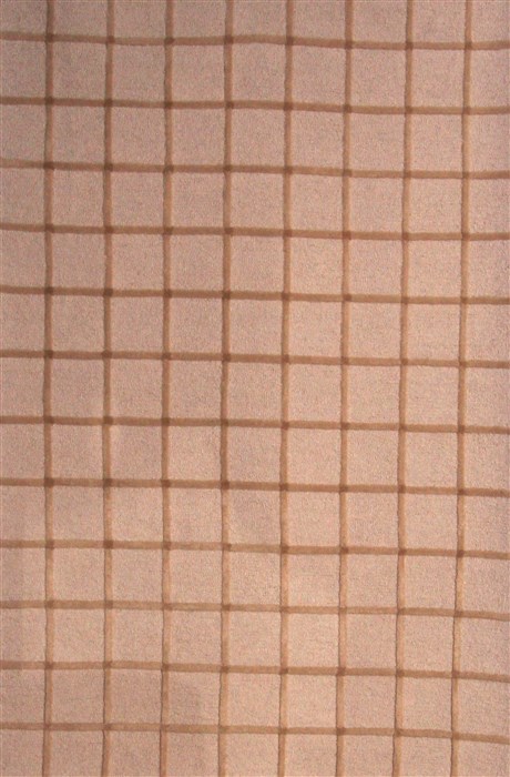 Modern Beige Hand Knotted 50 X 76  Area Rug 400-17417 Image 0