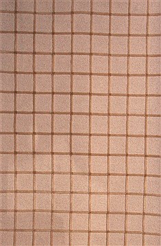 Chinese Modern Beige Rectangle 5x8 ft Wool Carpet 17417