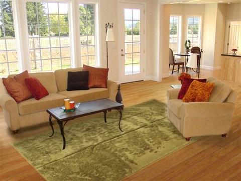 Shaggy Green Machine Made 80 X 100 Area Rug 300-17459 Image 4